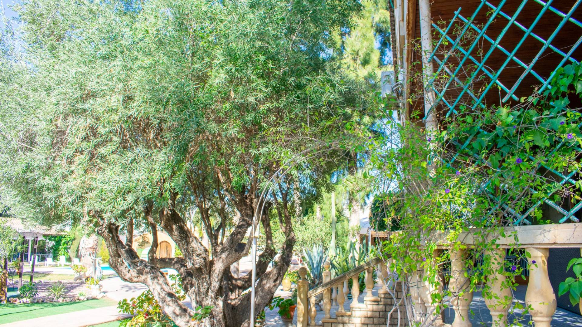 D'occasion - Villa indépendante - Crevillente