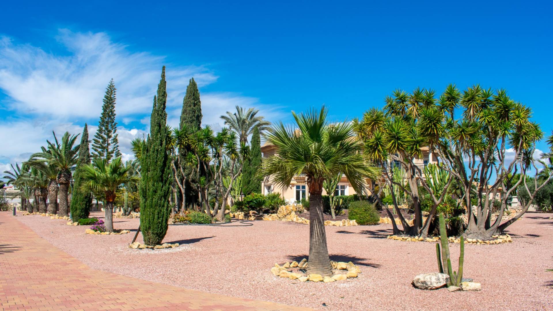 D'occasion - Villa indépendante - Elche - LA MARINA