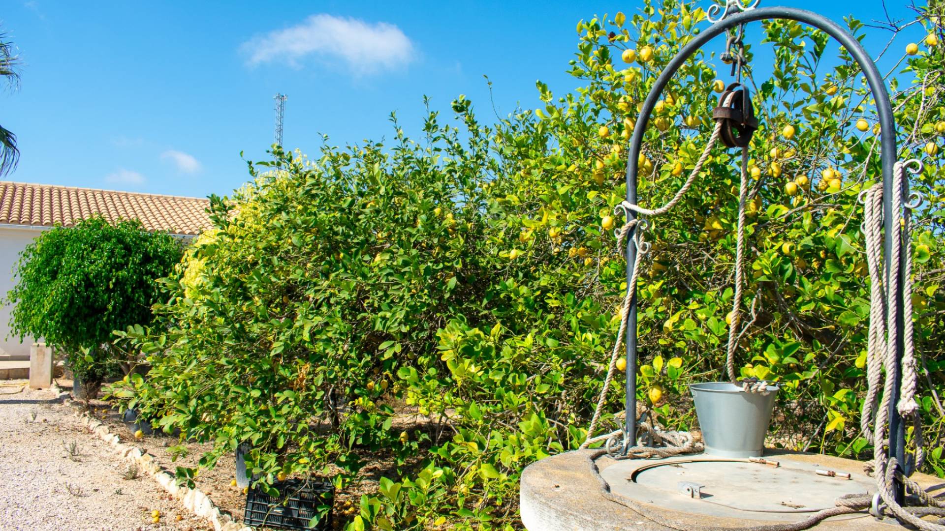 D'occasion - Villa indépendante - Guardamar del Segura - El Raso