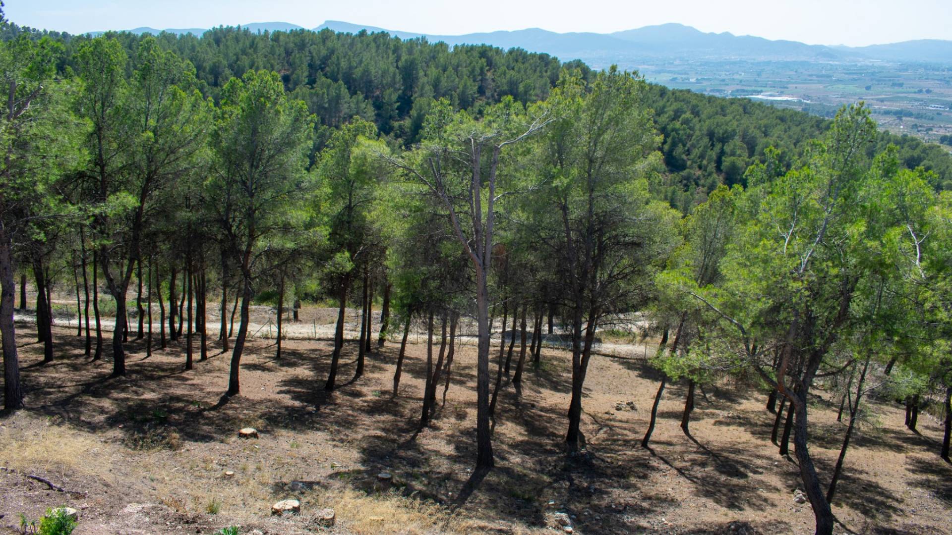 D'occasion - Villa indépendante - Ibi