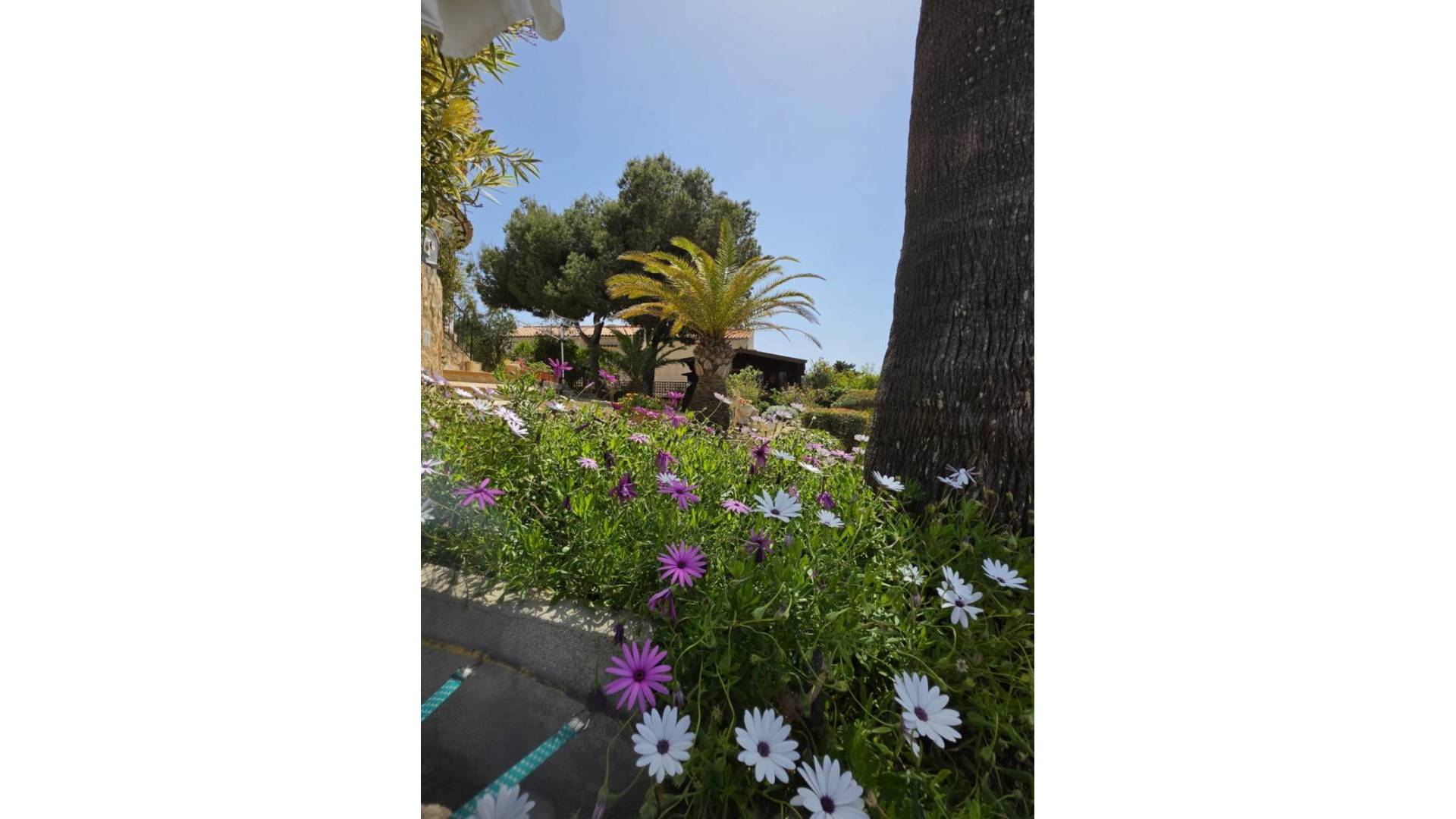 D'occasion - Villa indépendante - Jávea - Balcón al mar - Cap Martí