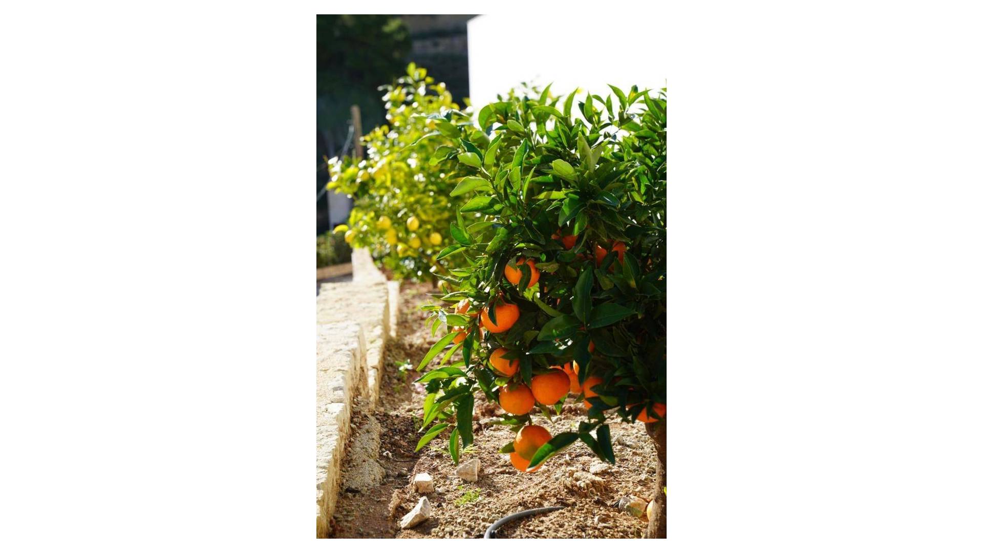 D'occasion - Villa indépendante - Jávea - Balcón al mar - Cap Martí