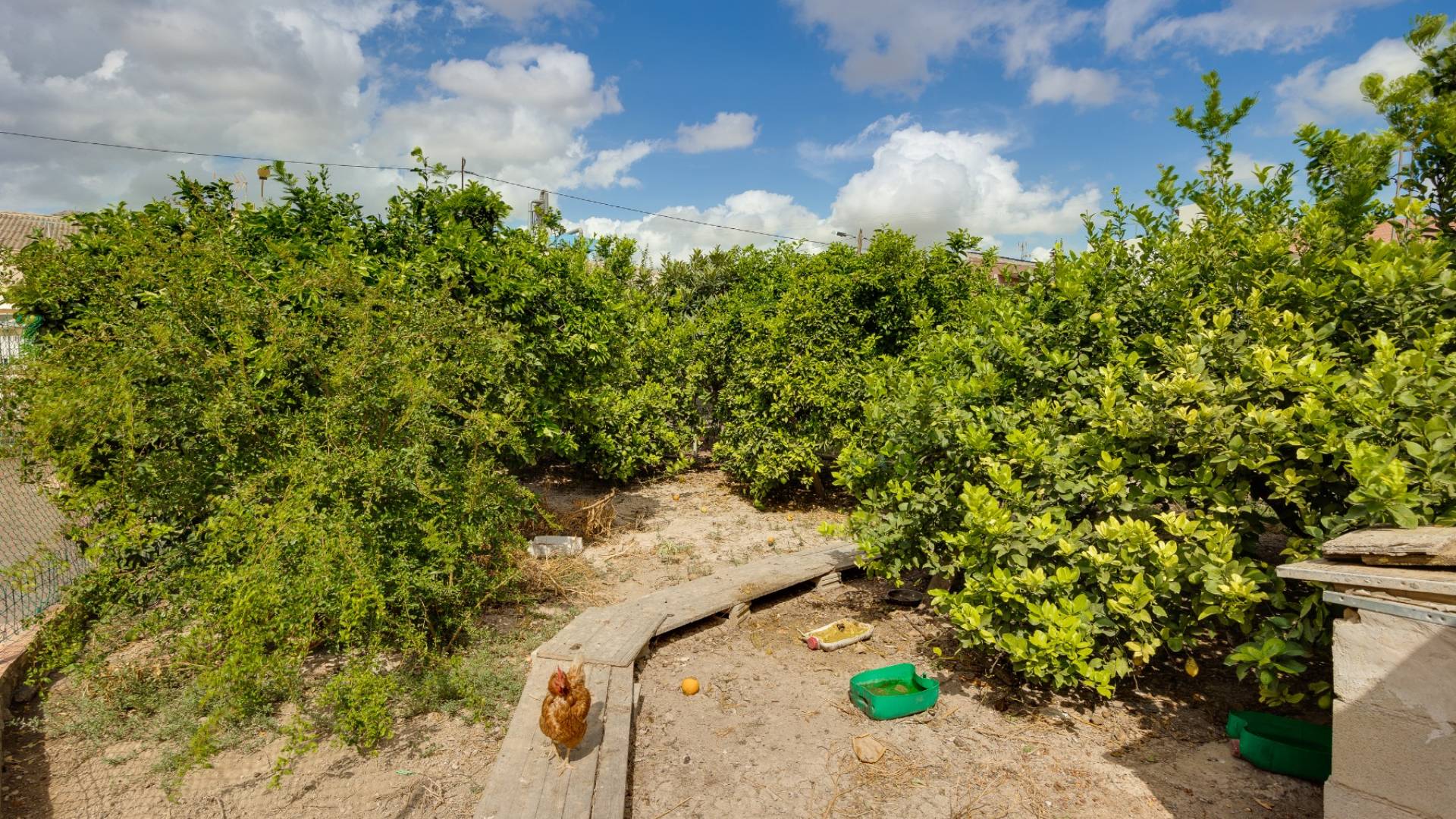 D'occasion - Villa indépendante - Orihuela