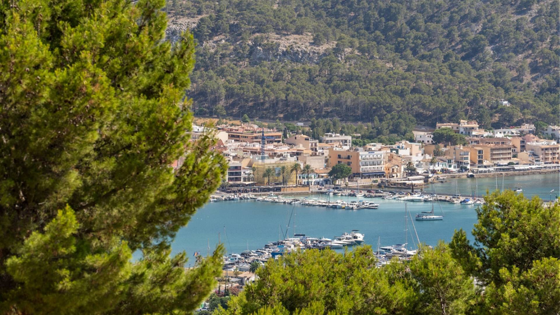 D'occasion - Villa indépendante - Port d'Andratx - Andratx