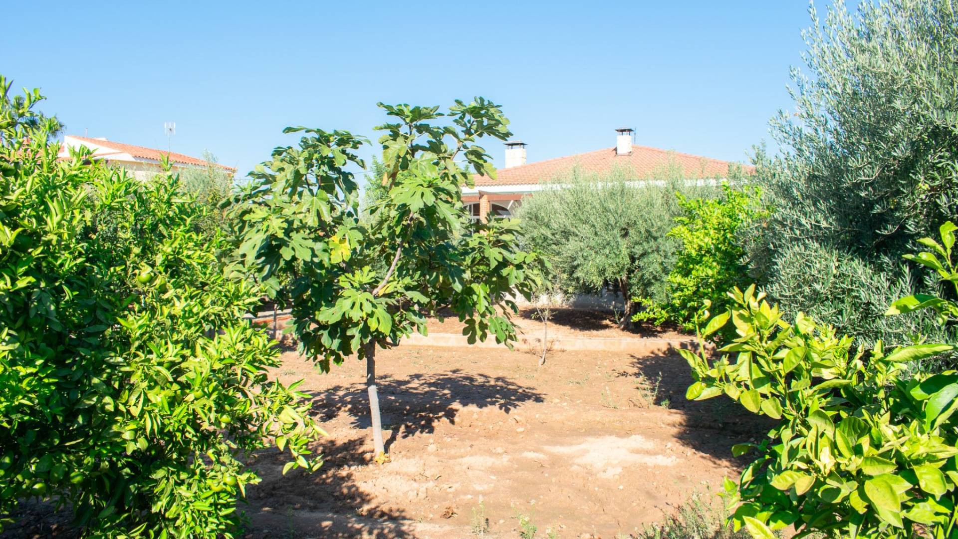 D'occasion - Villa indépendante - San Vicente del Raspeig