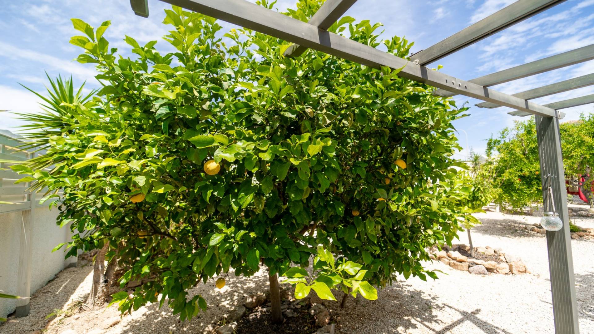 D'occasion - Villa indépendante - Torrevieja - La Siesta - El Salado - Torreta