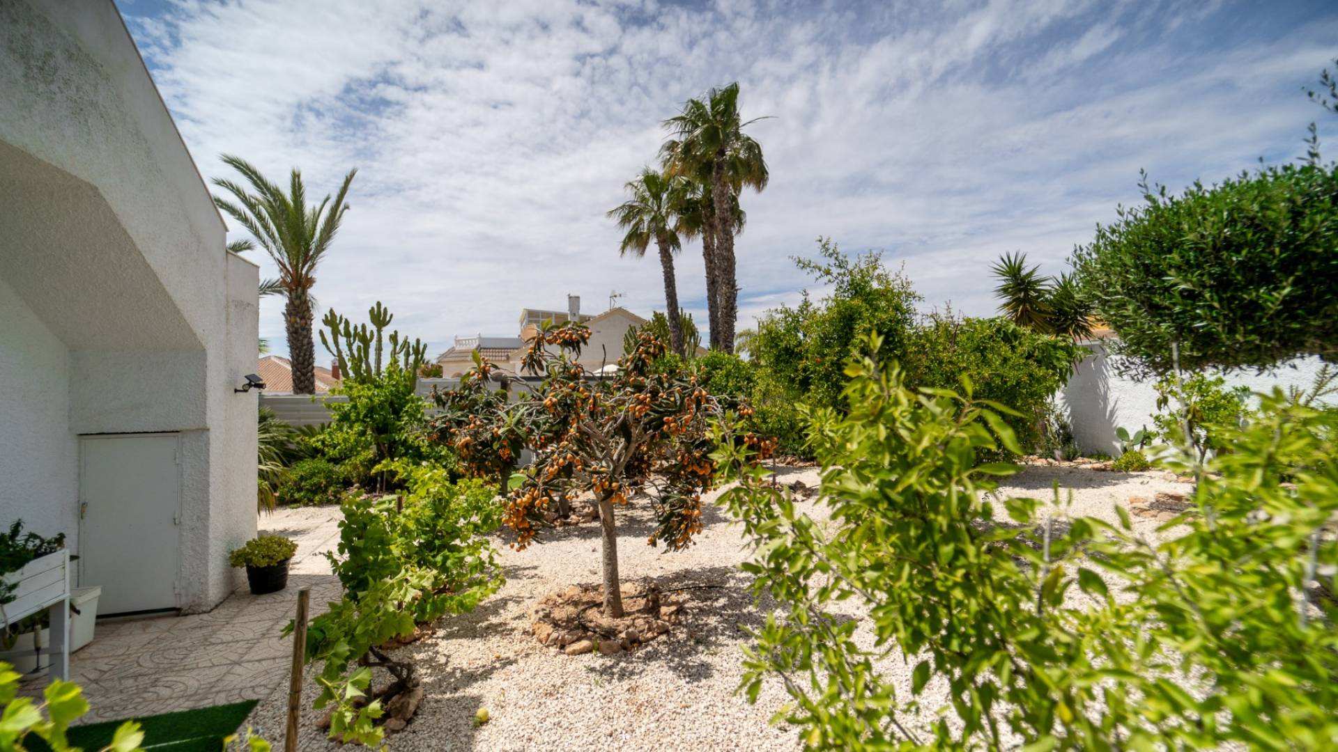 D'occasion - Villa indépendante - Torrevieja - La Siesta - El Salado - Torreta