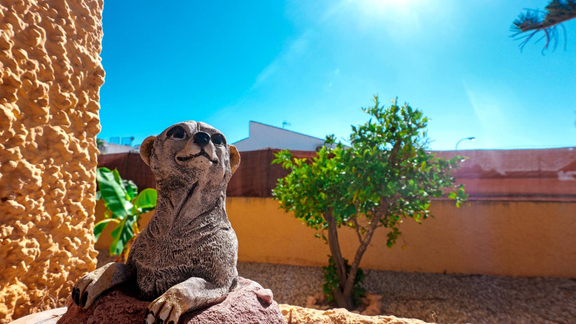 D'occasion - Villa indépendante - Torrevieja - La Siesta