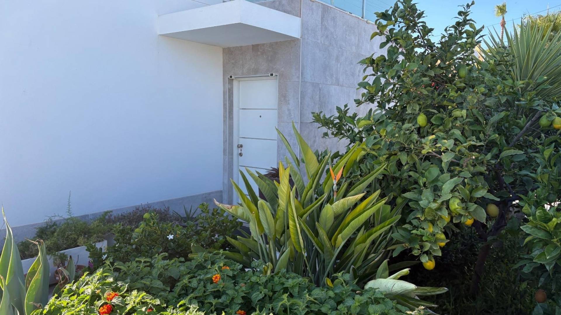 D'occasion - Villa / Maison - Torrevieja - La siesta