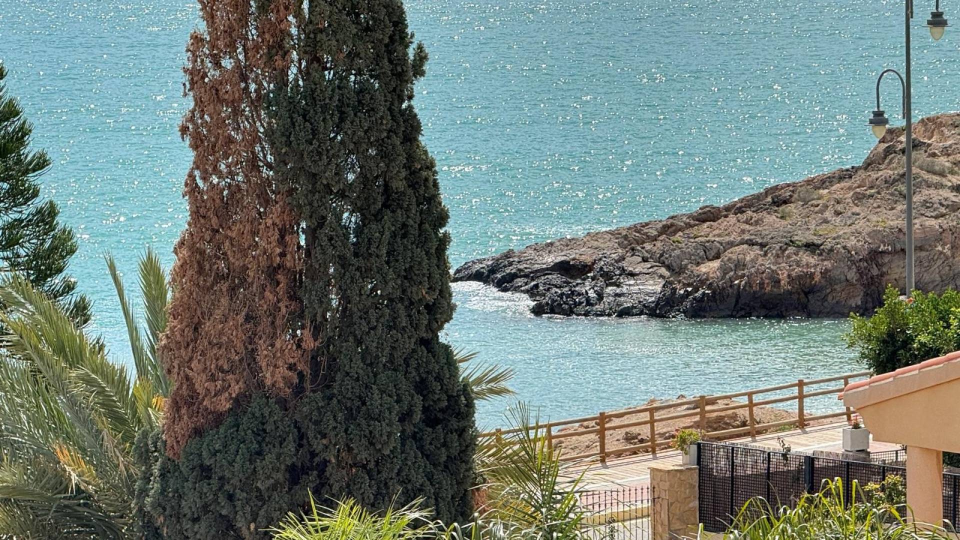 D'occasion - Villa / Semi détaché - Bolnuevo