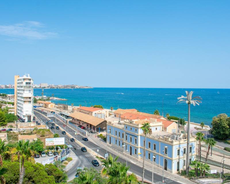 Daszek · z drugiej ręki · Alicante · Casco antiguo