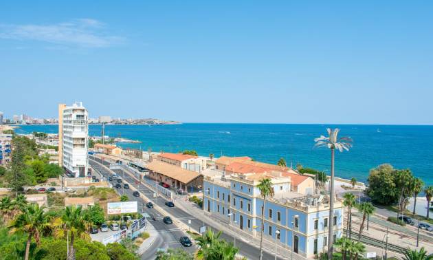 Daszek - z drugiej ręki - Alicante - Casco antiguo