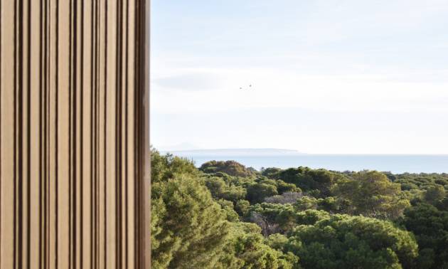 Działka - z drugiej ręki - Guardamar del Segura - Guardamar pueblo