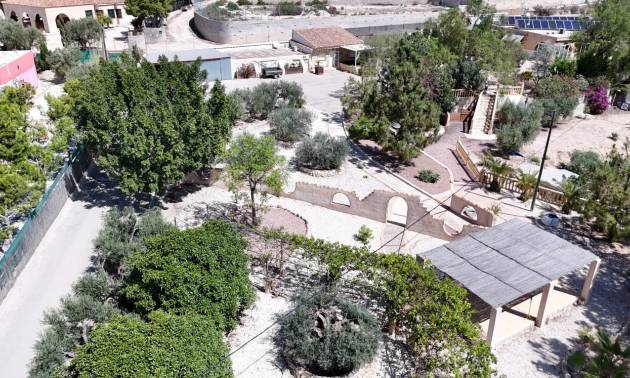 Finca Landgoed - Tweedehands - Crevillente - Crevillente