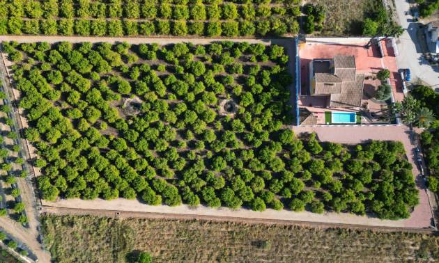 Finca Landgoed - Tweedehands - Orihuela - Orihuela