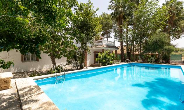 Finca Landgoed - Tweedehands - Orihuela - Partida de Arneva