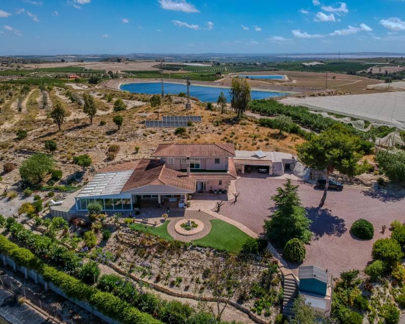 Finca Landgoed · Tweedehands · San Miguel de Salinas · Torremendo