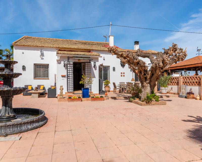 Finca Landgrundstück · Gebraucht · Daya Nueva · Daya Nueva