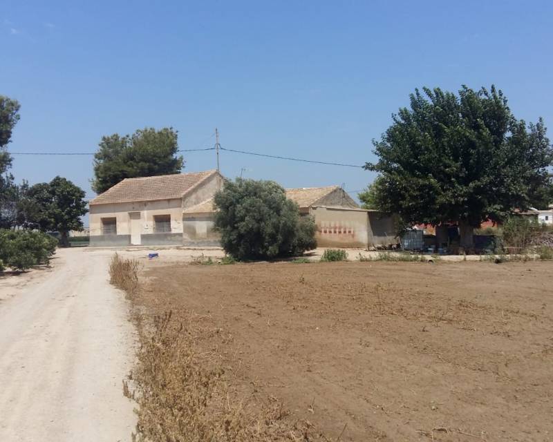 Finca Landgrundstück · Gebraucht · Daya Nueva · Daya Nueva