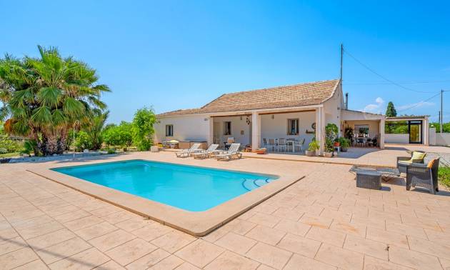 Finca Landgrundstück - Gebraucht - Elche - Las Bayas