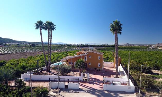 Finca Landgrundstück - Gebraucht - Orihuela - Orihuela