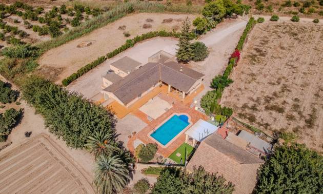 Finca rural - Segunda Mano - Almoradi - Almoradí