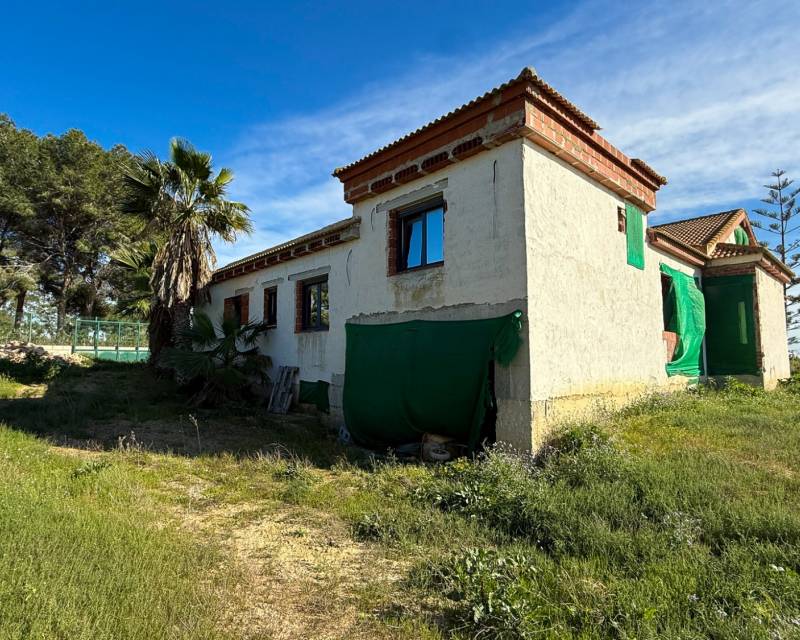 Finca rural · Segunda Mano · Guardamar del Segura · Guardamar