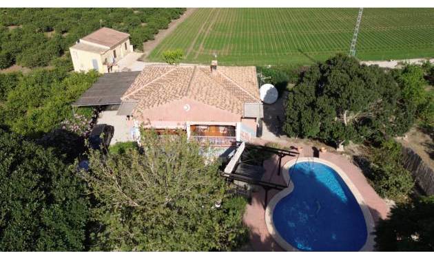 Finca rural - Segunda Mano - Orihuela - San Bartolomé