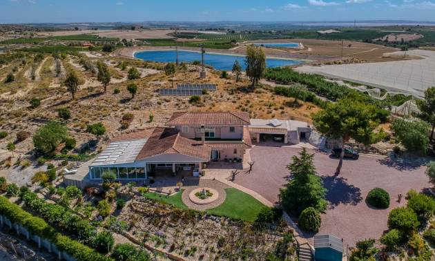 Finca rural - Segunda Mano - San Miguel de Salinas - Torremendo