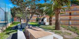 Gebraucht - Apartamento - Arenales del Sol - Segunda linea playa