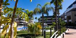 Gebraucht - Apartamento - Orihuela Costa - Playa Flamenca