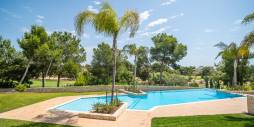Gebraucht - Apartamento - Pilar de la Horadada - 