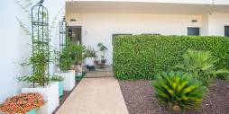 Gebraucht - Apartamento - Pilar de la Horadada - 