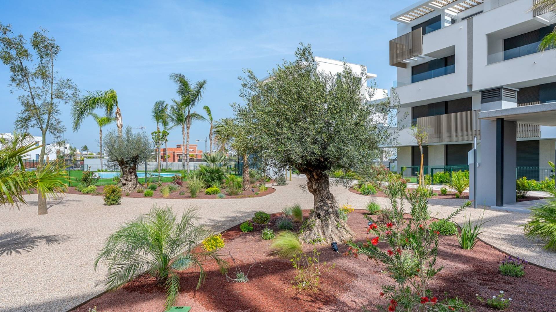 Gebraucht - Apartamento - Torre Pacheco - 