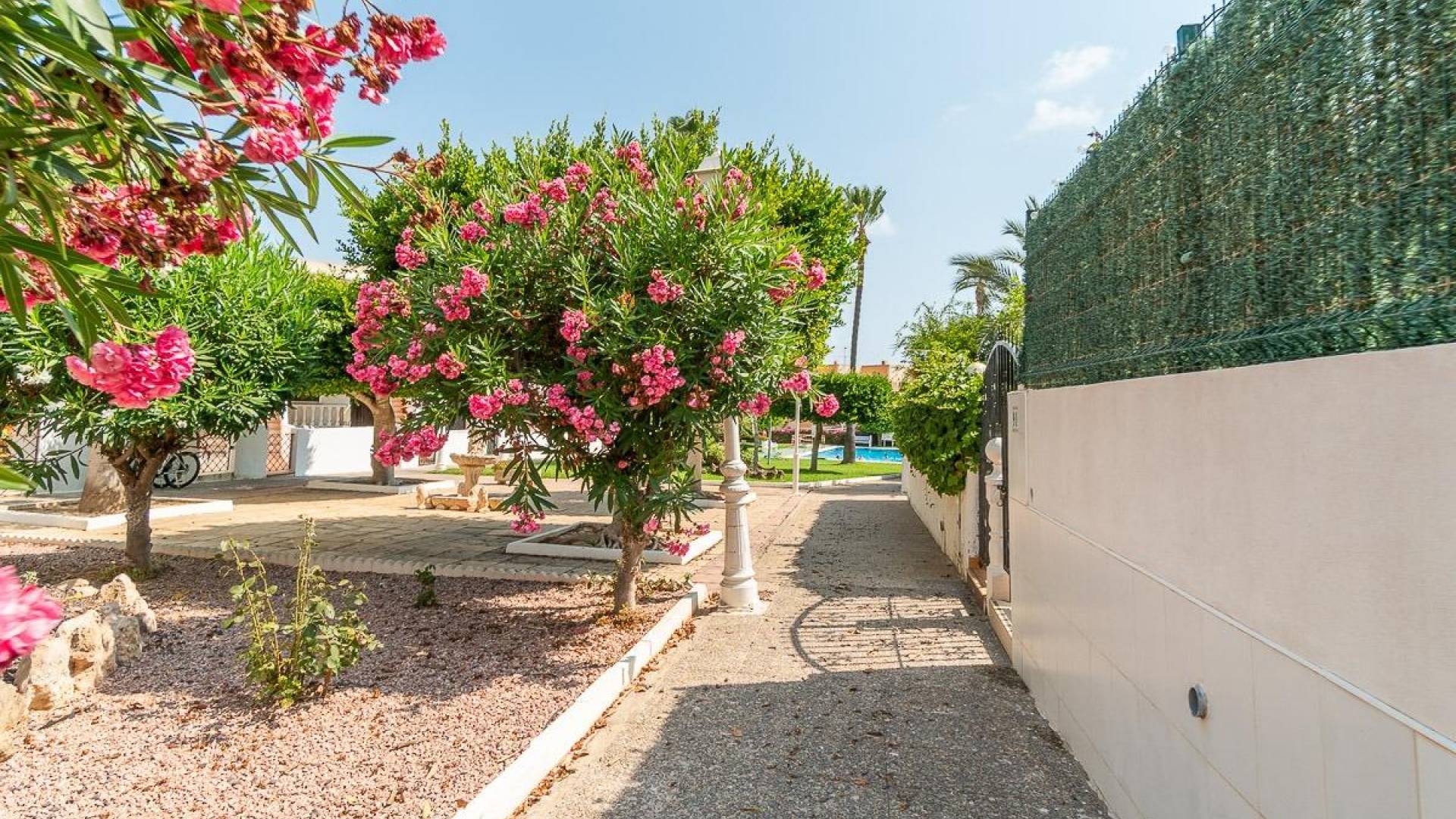 Gebraucht - Apartamento - Torrevieja - Torreblanca