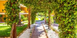 Gebraucht - Apartamento - Torrevieja - 