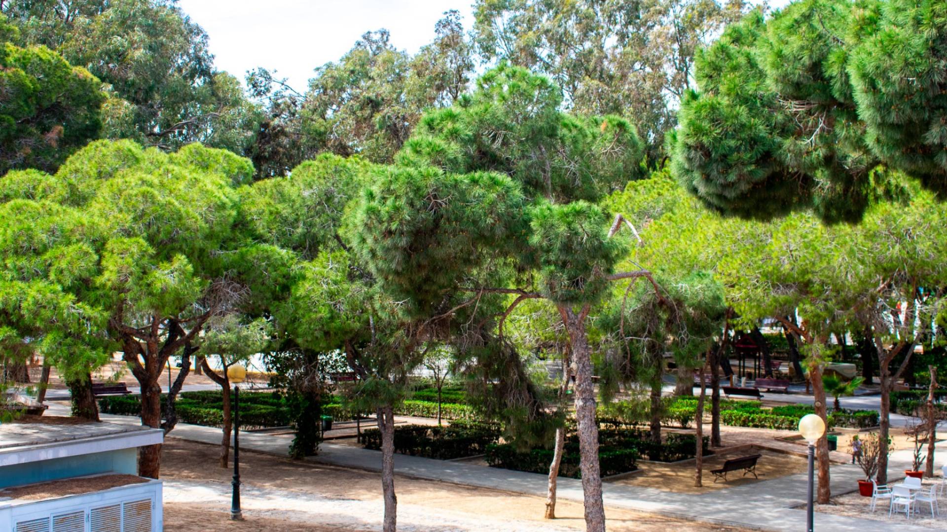 Gebraucht - Doppelhaushälfte - Guardamar del Segura