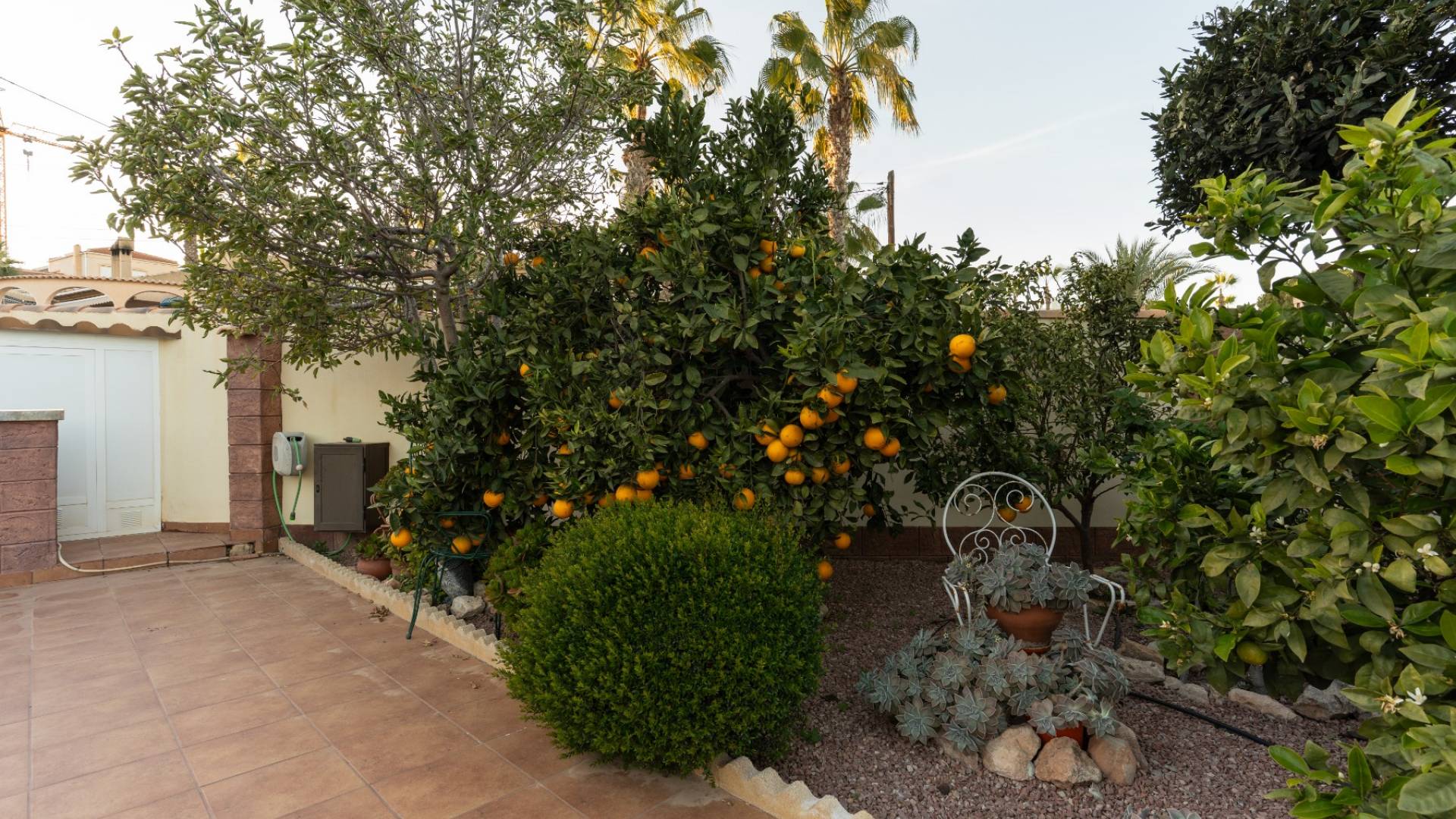 Gebraucht - Doppelhaushälfte - Torrevieja - Los balcones