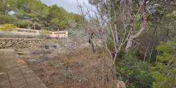 Gebraucht - Finca Landgrundstück - Calpe