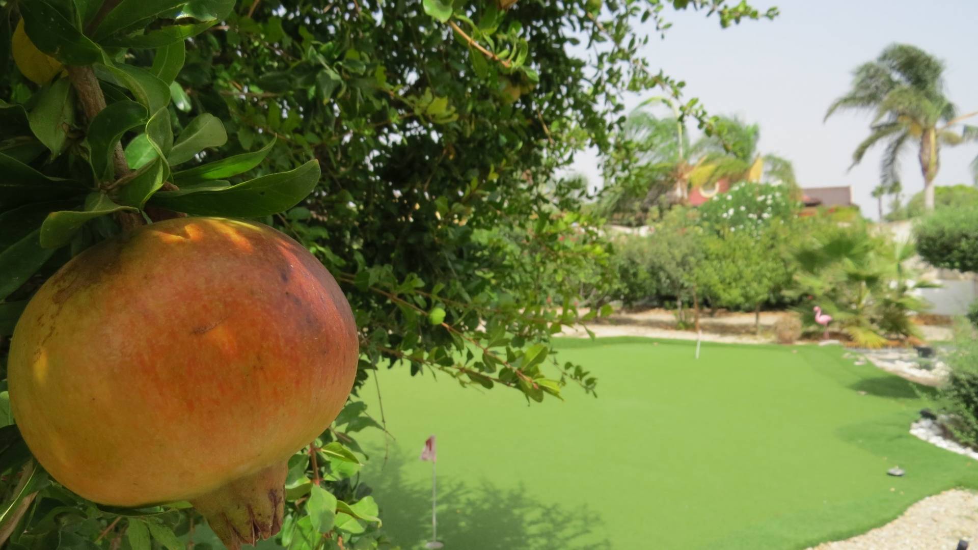 Gebraucht - Finca Landgrundstück - Dolores