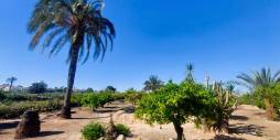 Gebraucht - Finca Landgrundstück - La marina - La Marina del Pinet