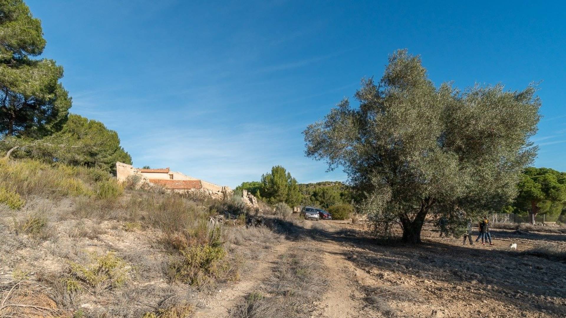 Gebraucht - Finca Landgrundstück - Pilar de la Horadada - Pinar de la Perdiz