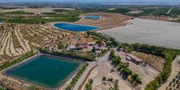 Gebraucht - Finca Landgrundstück - San Miguel de Salinas - Torremendo