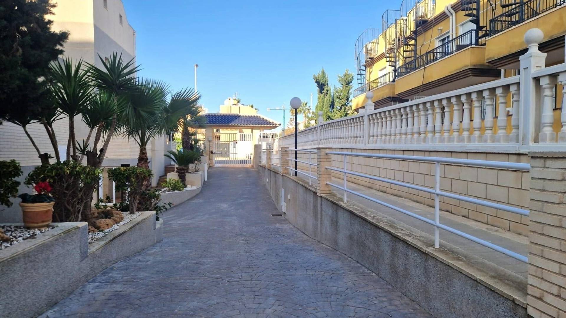 Gebraucht - Gefüllt - Torrevieja - Aguas Nuevas