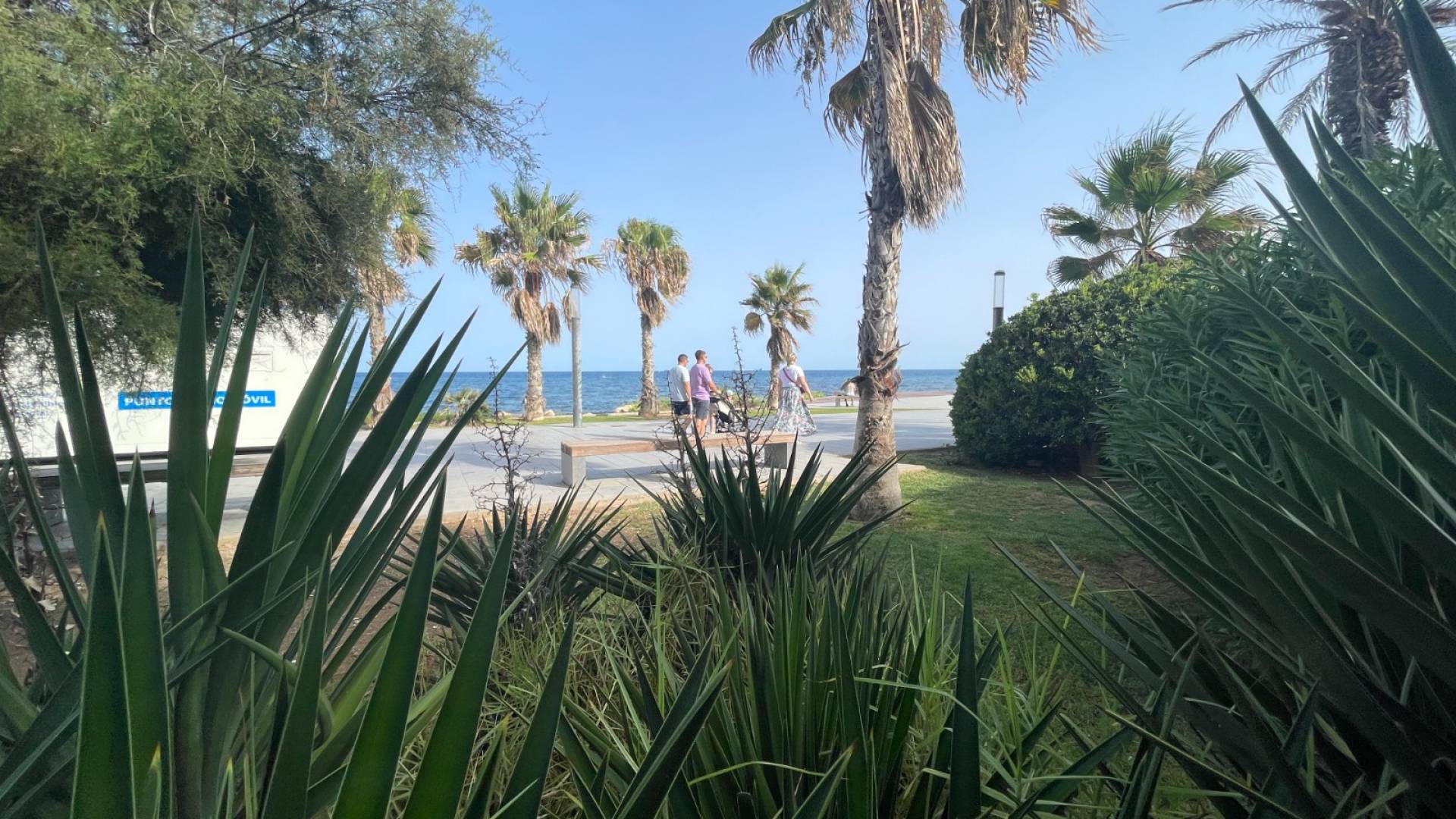 Gebraucht - Locaux commerciaux - Torrevieia - Comunidad Valenciana