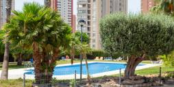 Gebraucht - Penthouse - Benidorm