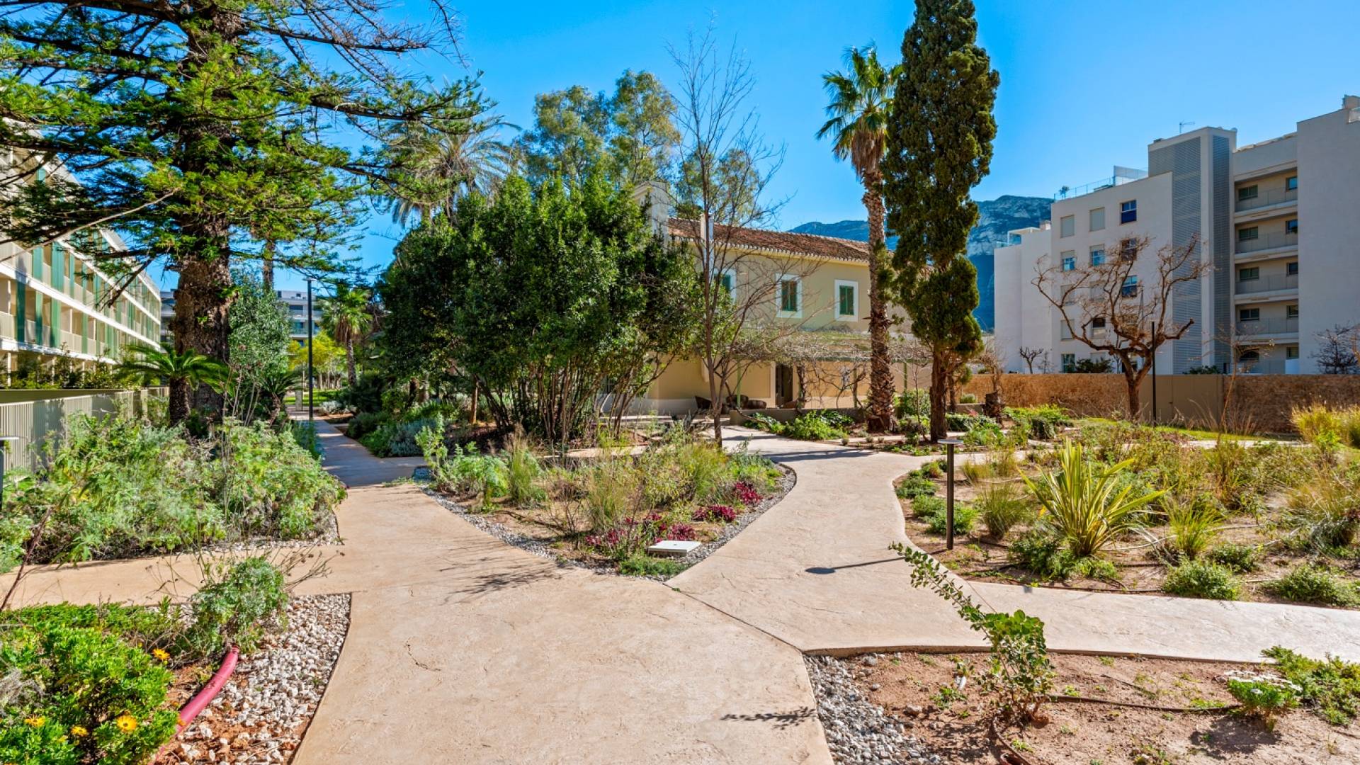 Gebraucht - Penthouse - Denia - Puerto