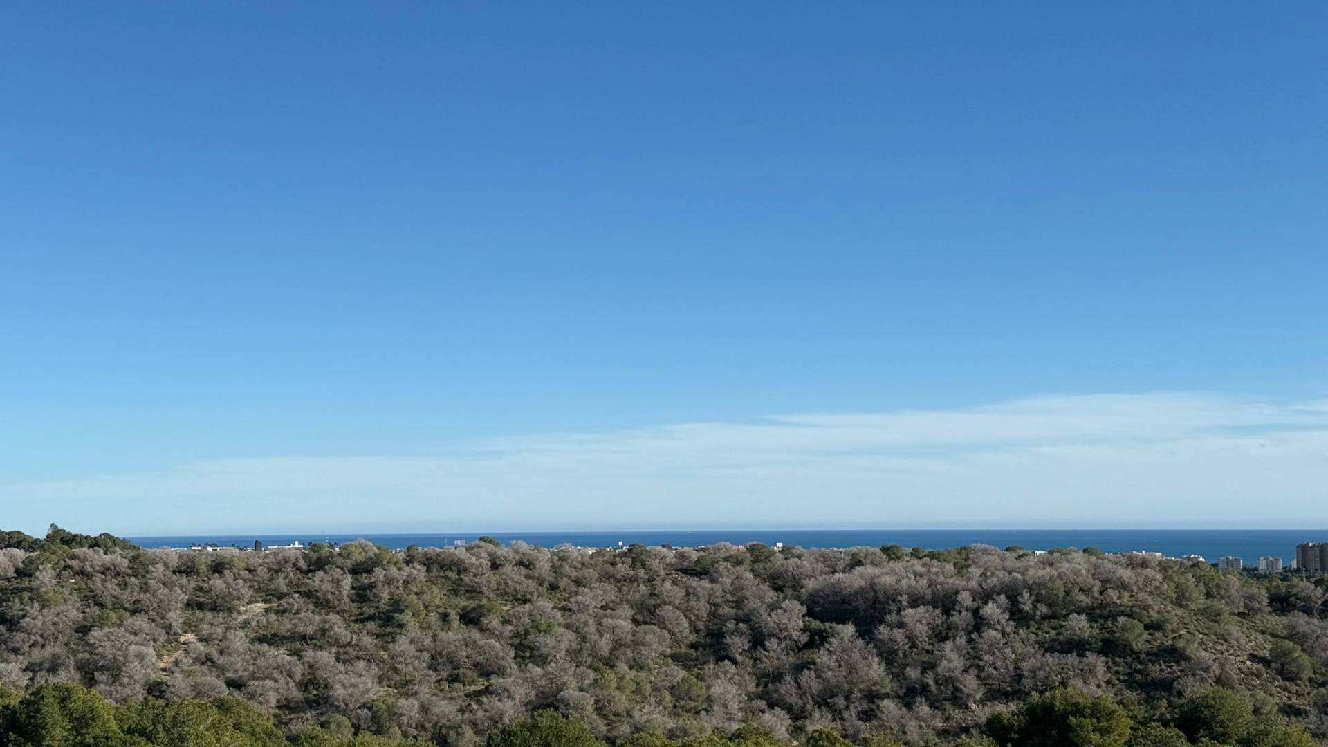 Gebraucht - Penthouse - Orihuela - Las Ramblas