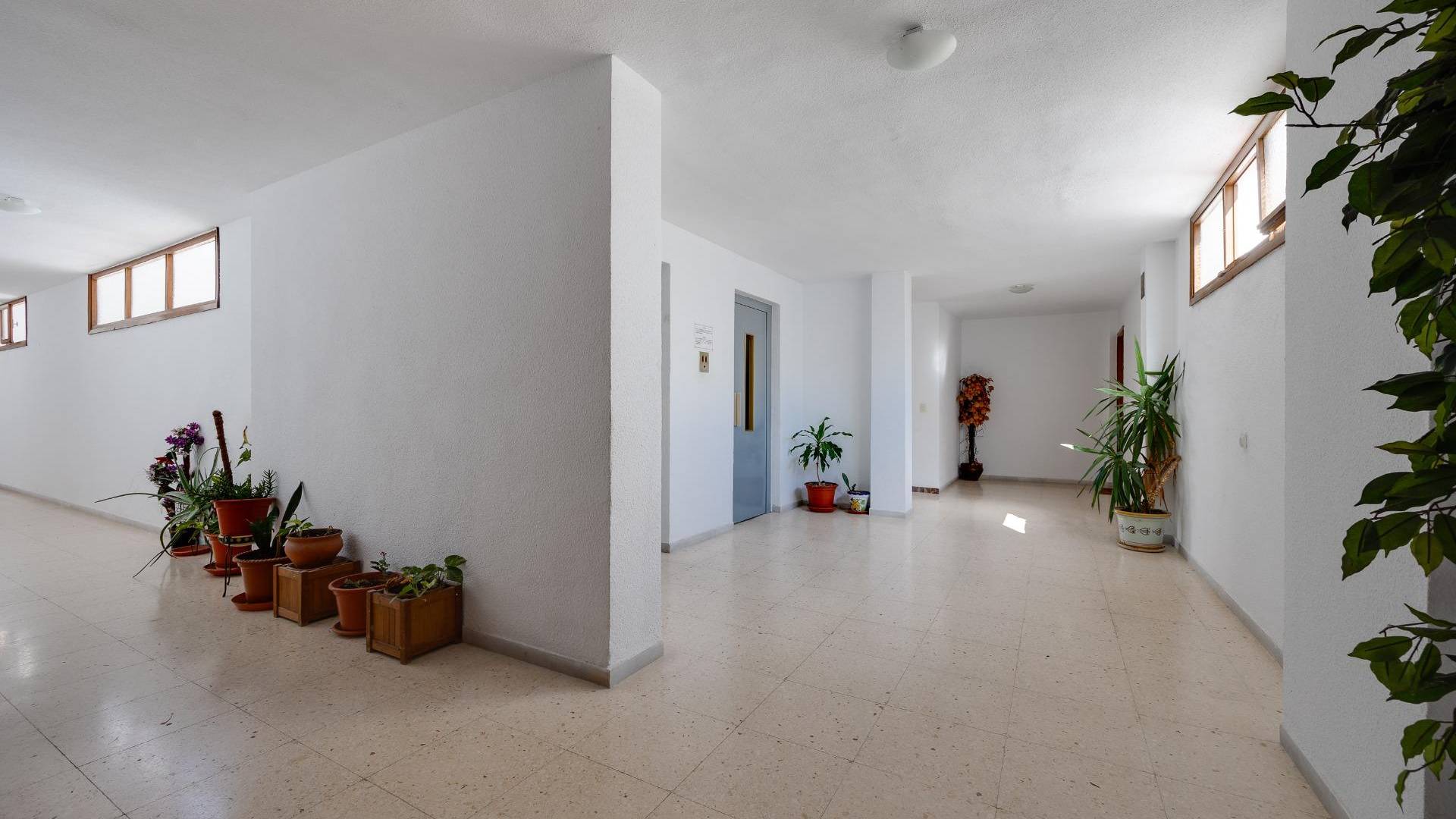 Gebraucht - Penthouse - Torrevieja - Acequion