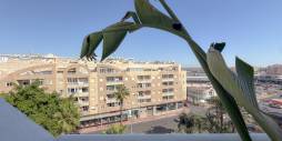 Gebraucht - Penthouse - Torrevieja - Centro